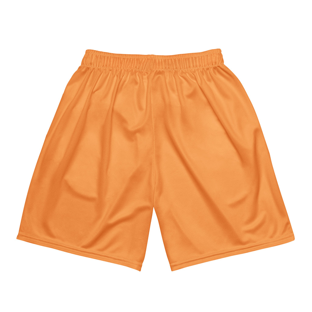 Orange farbene Basketballshorts aus glattem Sportgewebe. Auf dem linken Oberschenkel ist eine kleinere, detaillierte Version des "Loving Fishy" Cartoon-Fisches mit Cap und Herz-Sonnenbrille abgebildet.