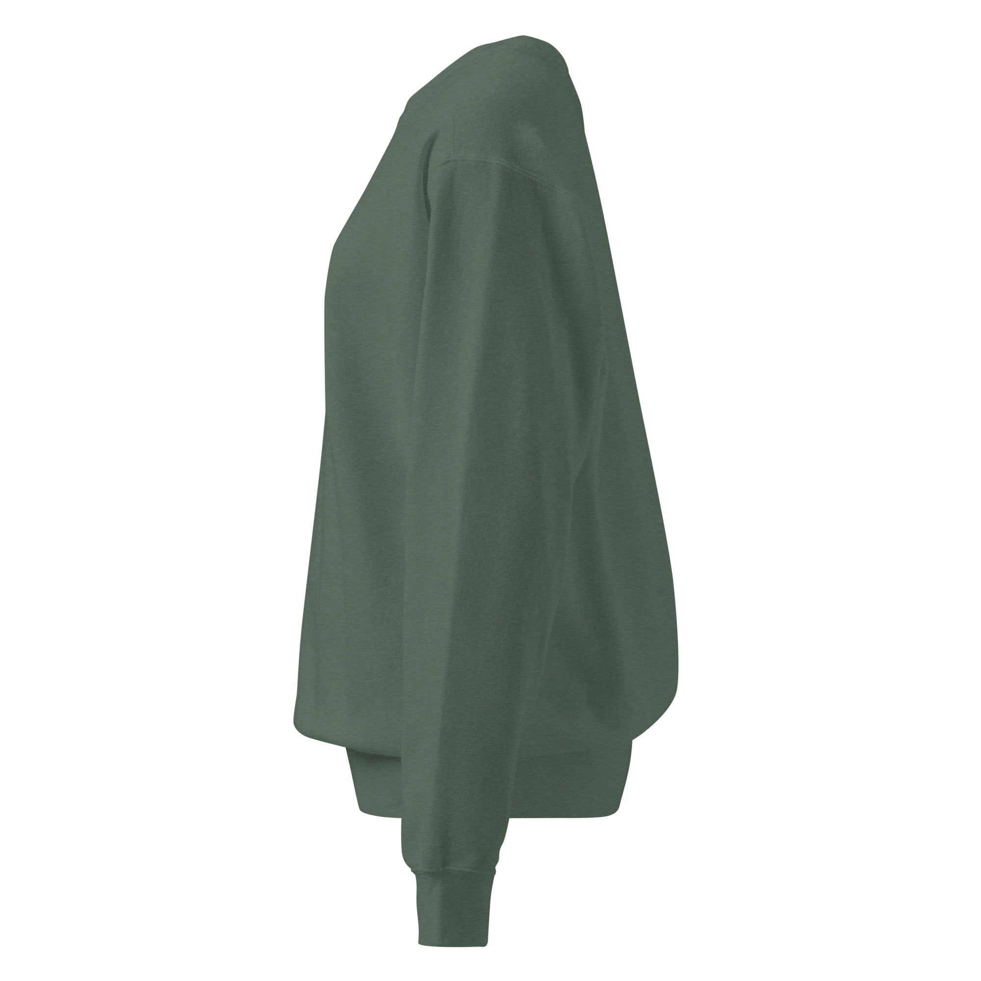 Ein unifarbener Pullover freigestellte Seitenansicht links in Grün, das als Sage Moos bezeichnet wird. Das Kleidungsstück ist schlicht und hat lange Ärmel. 