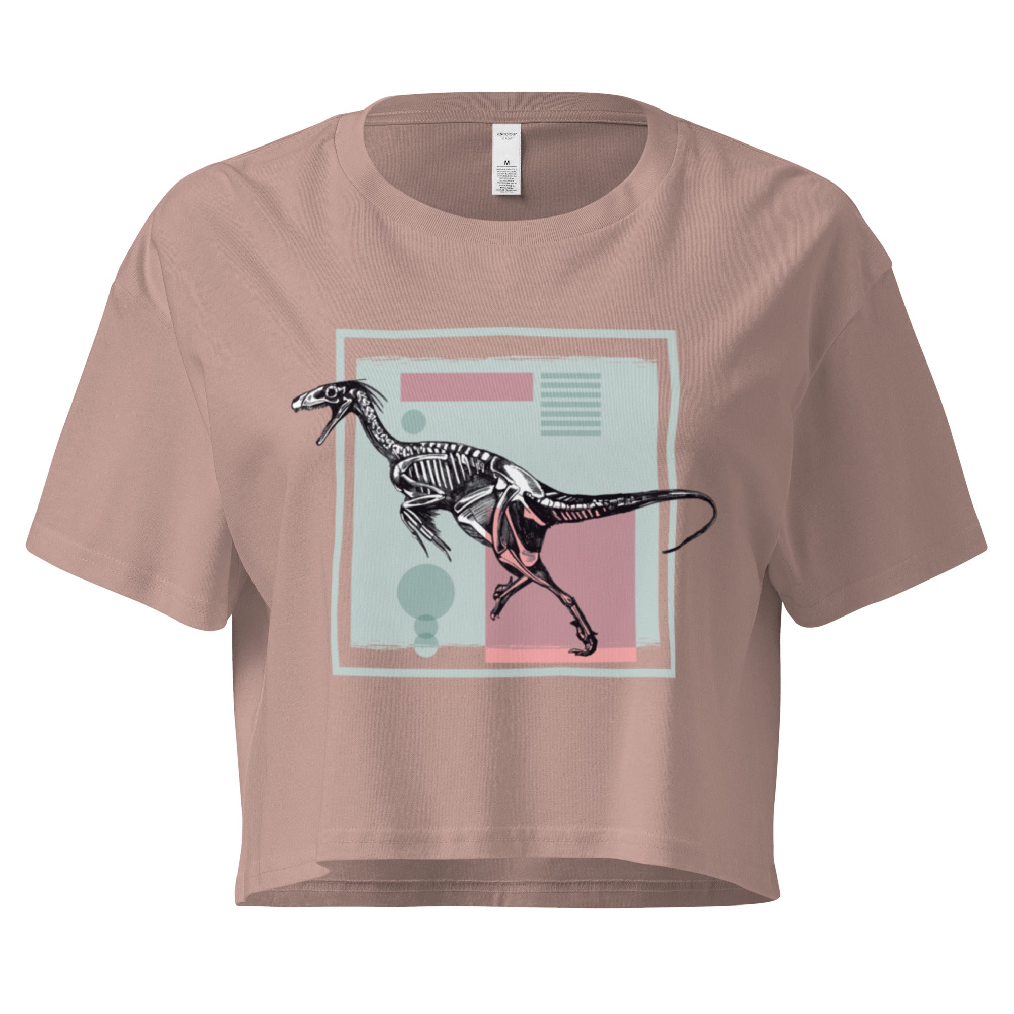 Ein hazy pink farbenes, kurz geschnittenes Damen-T-Shirt (Crop Top) mit einem weißen Kastenrahmen in der Mitte. Innerhalb des Rahmens befindet sich eine Illustration eines Dinosaurierskeletts, das auf einer Farbfeldfläche aus Rosa und Mintgrün platziert ist. Der Dinosaurier ist in einer Laufhaltung dargestellt.