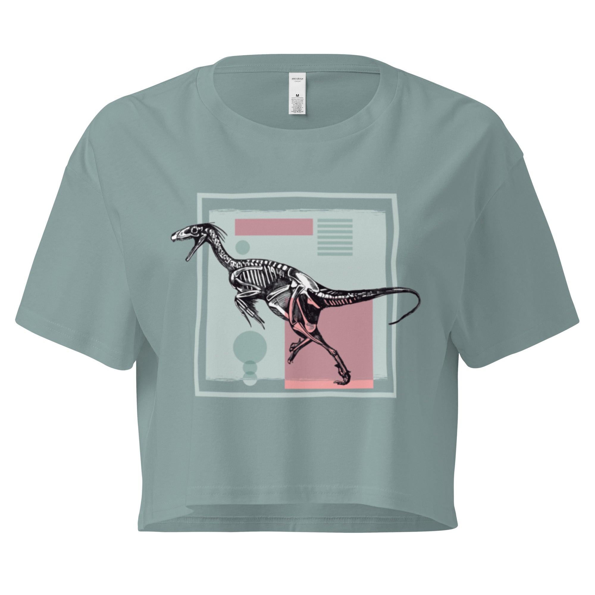 Ein mineral farbenes, kurz geschnittenes Damen-T-Shirt (Crop Top) mit einem weißen Kastenrahmen in der Mitte. Innerhalb des Rahmens befindet sich eine Illustration eines Dinosaurierskeletts, das auf einer Farbfeldfläche aus Rosa und Mintgrün platziert ist. Der Dinosaurier ist in einer Laufhaltung dargestellt.