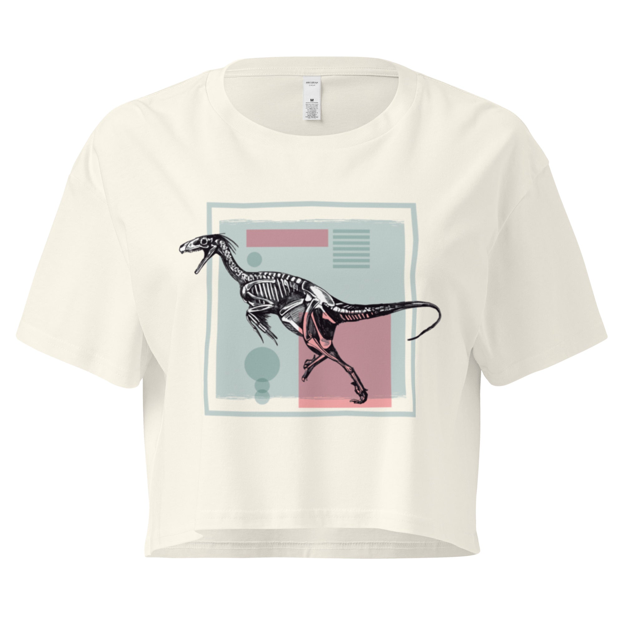 Ein natur farbenes, kurz geschnittenes Damen-T-Shirt (Crop Top) mit einem weißen Kastenrahmen in der Mitte. Innerhalb des Rahmens befindet sich eine Illustration eines Dinosaurierskeletts, das auf einer Farbfeldfläche aus Rosa und Mintgrün platziert ist. Der Dinosaurier ist in einer Laufhaltung dargestellt.