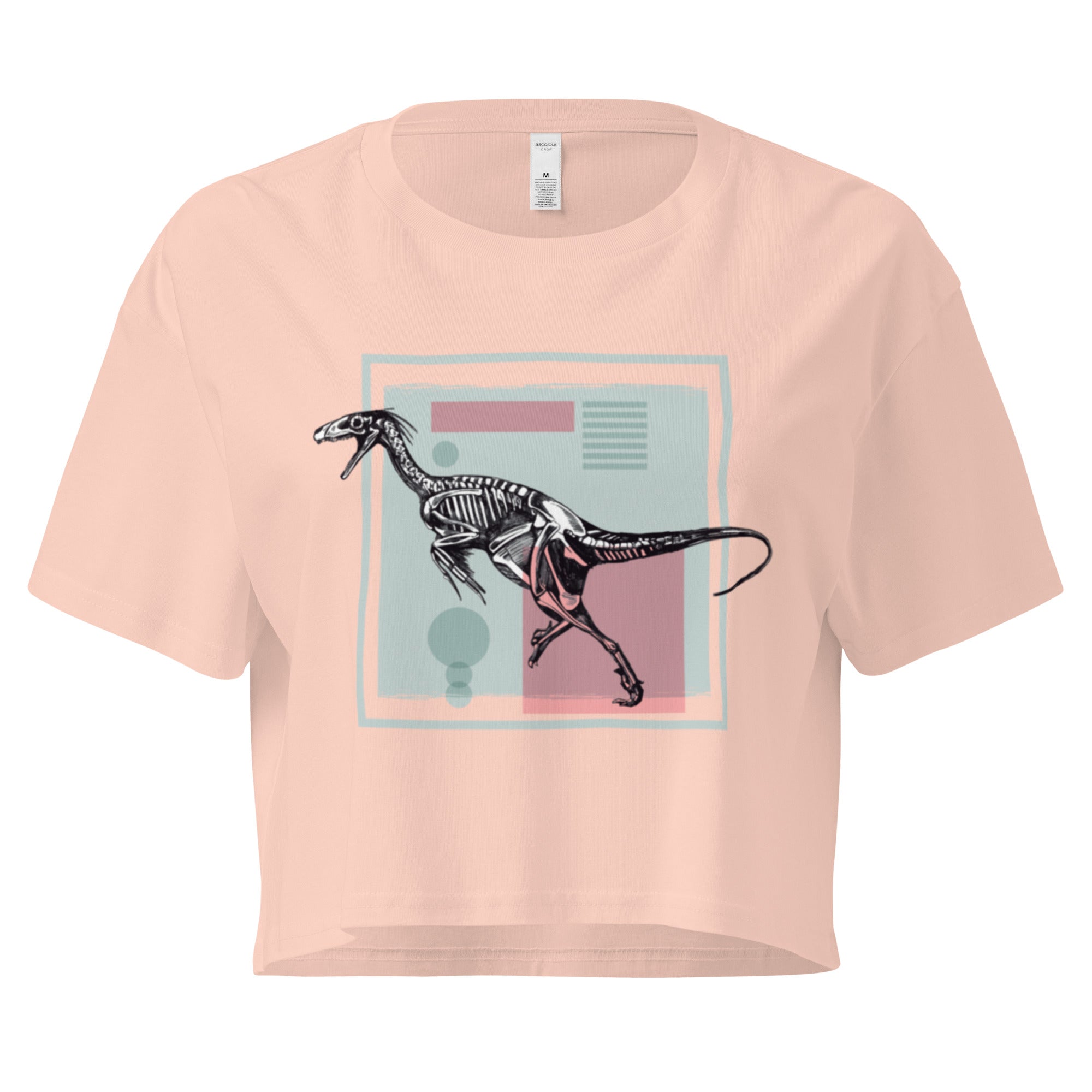 Ein pale pink farbenes, kurz geschnittenes Damen-T-Shirt (Crop Top) mit einem weißen Kastenrahmen in der Mitte. Innerhalb des Rahmens befindet sich eine Illustration eines Dinosaurierskeletts, das auf einer Farbfeldfläche aus Rosa und Mintgrün platziert ist. Der Dinosaurier ist in einer Laufhaltung dargestellt.