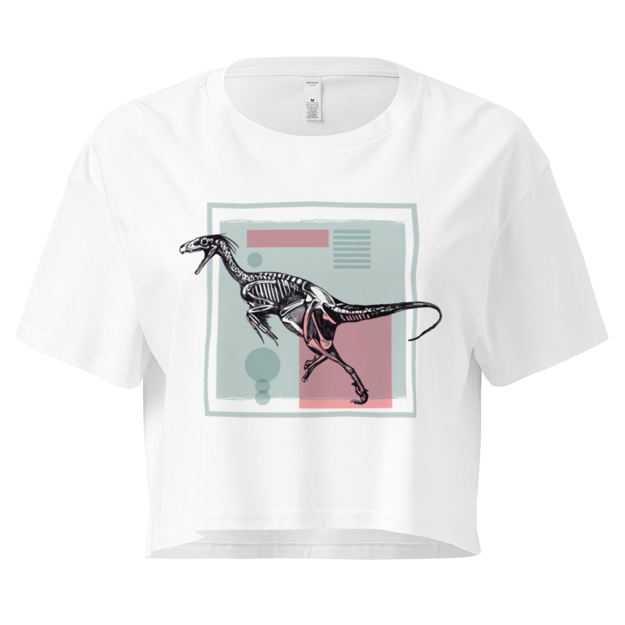 Ein weißes, kurz geschnittenes Damen-T-Shirt (Crop Top) mit einem weißen Kastenrahmen in der Mitte. Innerhalb des Rahmens befindet sich eine Illustration eines Dinosaurierskeletts, das auf einer Farbfeldfläche aus Rosa und Mintgrün platziert ist. Der Dinosaurier ist in einer Laufhaltung dargestellt.